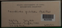 Image Associated With the Occurence